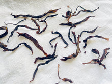 Load image into Gallery viewer, Celestial Fragrance Oolong \ Tong Tian Xiang 通天香