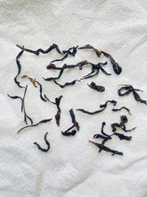 Load image into Gallery viewer, Dream Fragrance Oolong (Aged) \ Meng Xiang （Lao Cong)  | 梦香 （老枞）
