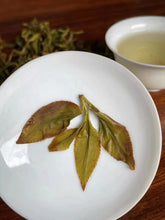 Load image into Gallery viewer, Honey Almond Oolong (Aged) |   锯剁仔 (老枞）[杏仁香 (老枞)]
