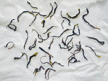 Load image into Gallery viewer, Kindred Brothers Oolong \ Xiong Di Zai  兄弟仔
