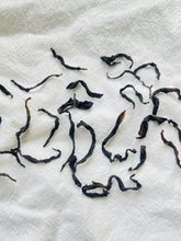 Load image into Gallery viewer, Phoenix Narcissus Oolong (Aged Tree) \ Feng Huang Shui Xian (Lao Cong) 凤凰水仙 （老枞）
